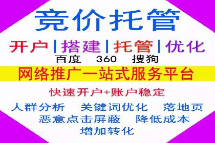 SEM运营策略案例分析
